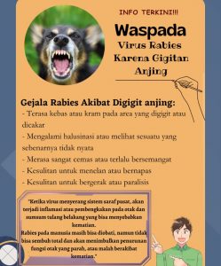 Waspada Virus Rabies Karena Gigitan Anjing